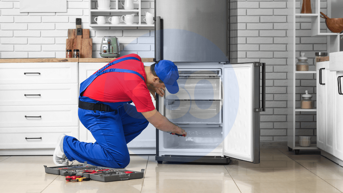 Çankırı Beko Buzdolabı Servisi